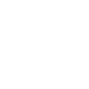 shield (1)